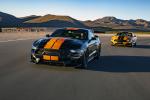 Shelby GT-S 2019 года